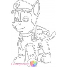 Гонщик